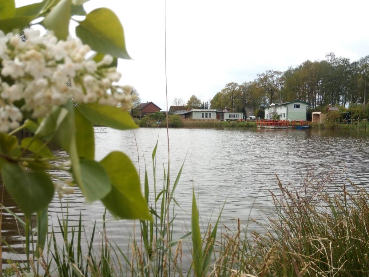 Agroturystyka Nad Morzem Zieleniewo  Exterior foto